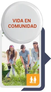 Vida en comunidad